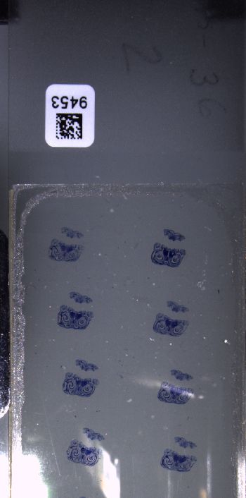 Media type: image; Special Collections 3102   shows specimen_part histological serial section;  Description: Whole slide scan, SC-3102, slide 2;